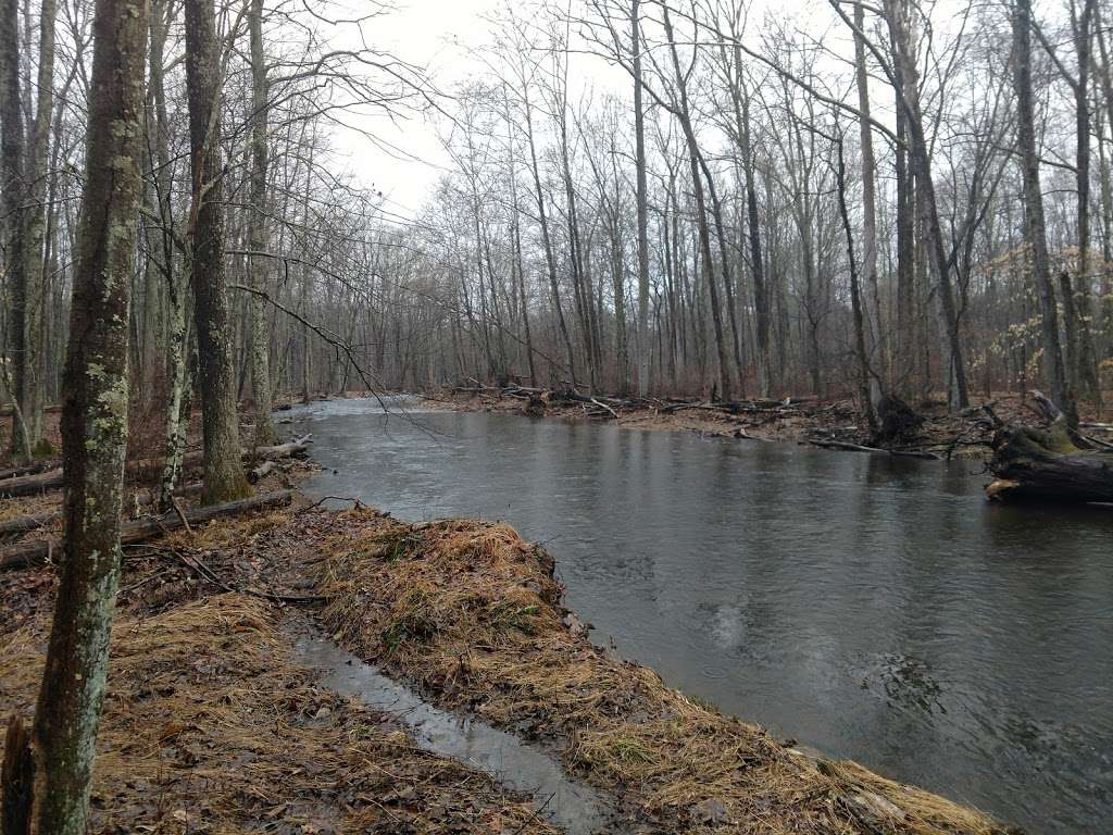 Flatbrook Fish and Wildlife Management Area | Sandyston, NJ 07826