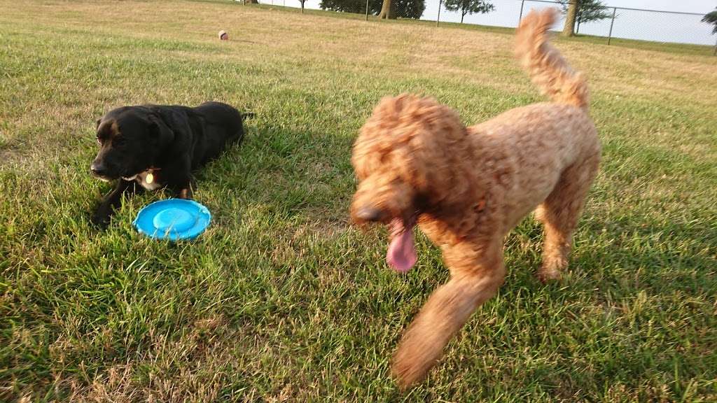 Liberty Dog Park | Stocksdale Park Drive, Liberty, MO 64068, USA | Phone: (816) 439-4382