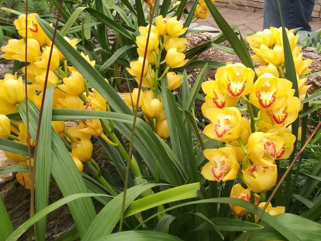 Garfield Park Conservatory Gift Shop | 300 N Central Park Ave, Chicago, IL 60624, USA | Phone: (312) 746-5100