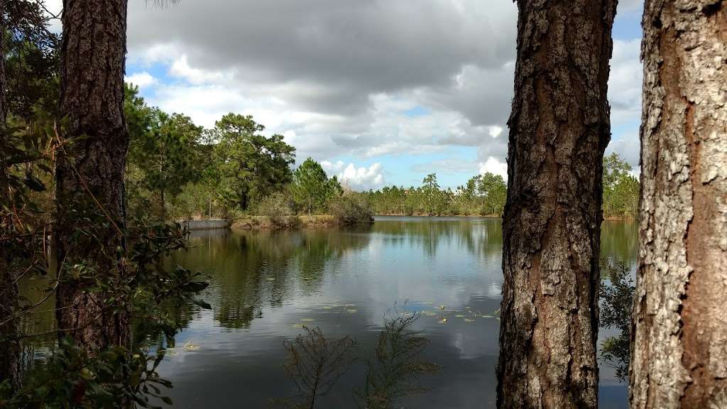 University of Central Florida Arboretum | Wildflower Loop, Orlando, FL 32826, USA