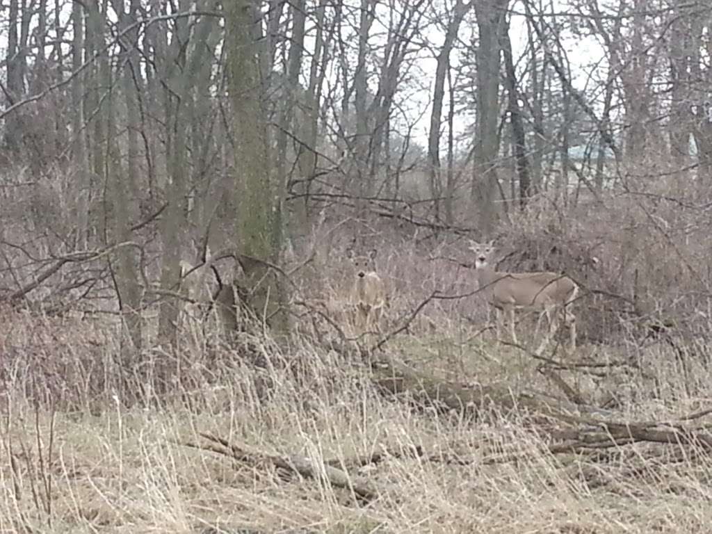 Almond Marsh Forest Preserve | 32550 N Almond Rd, Grayslake, IL 60030, USA | Phone: (847) 367-6640