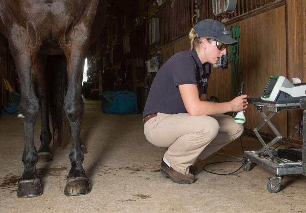 Fox Valley Equine Practice | 1N303 La Fox Road, La Fox, IL 60147, USA | Phone: (630) 365-5600