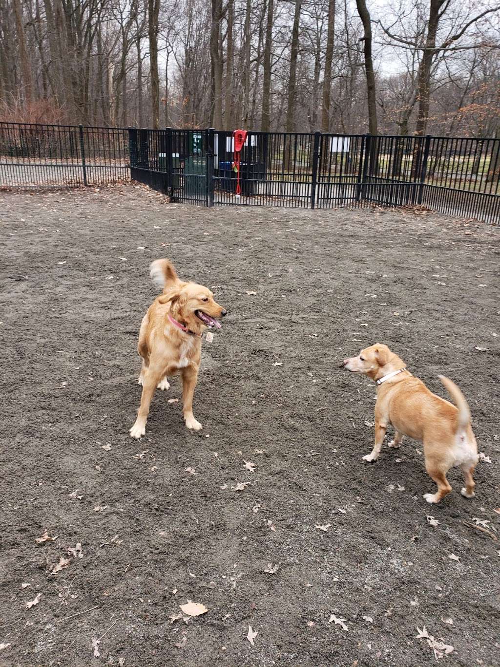 Van Saun dog park | Unnamed Road, River Edge, NJ 07661, USA