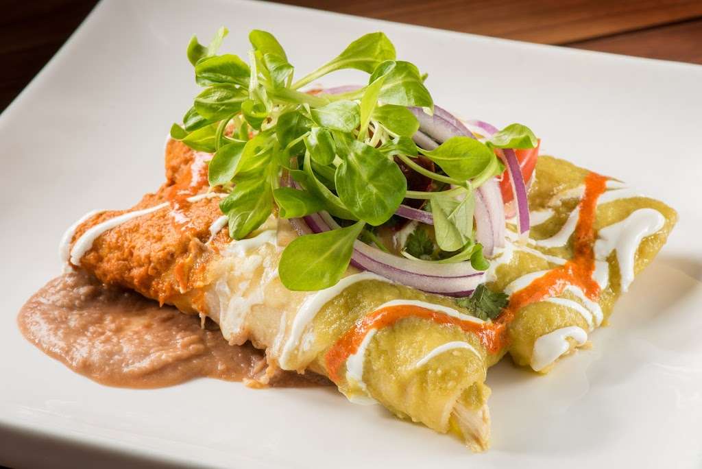 Lona Cocina Tequileria | 4204, 321 N Fort Lauderdale Beach Blvd, Fort Lauderdale, FL 33304, USA | Phone: (954) 245-3069