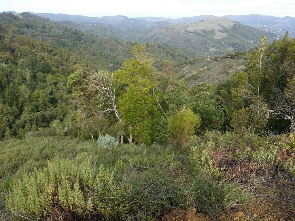 Baltimore Canyon Open Space Preserve | Blithedale Ridge Rd, Kentfield, CA 94904