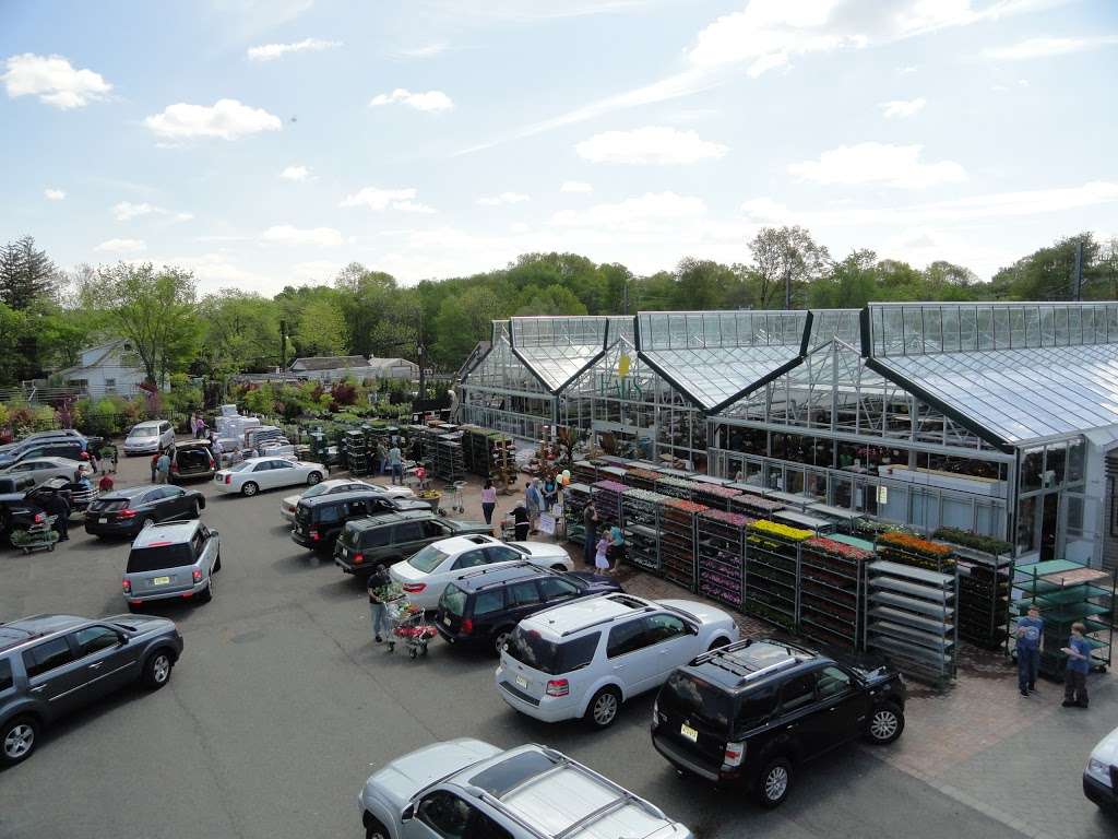 Halls Garden Center & Florist | 700 Springfield Ave, Berkeley Heights, NJ 07922, USA | Phone: (908) 665-0331