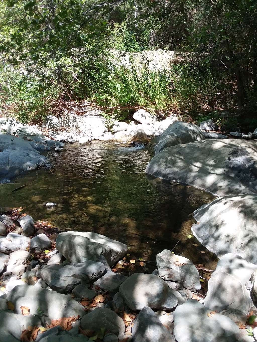 Big Cone Campground | E Fork Trail, Santa Paula, CA 93060, USA