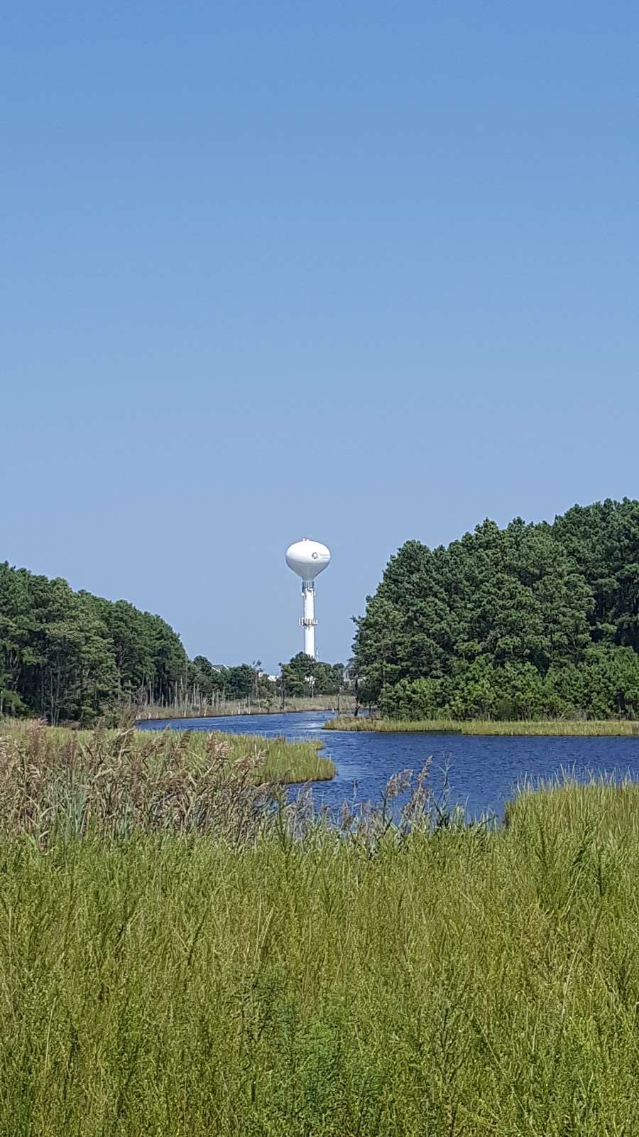 Fresh Pond Trail Head | DE-1, Bethany Beach, DE 19930 | Phone: (302) 227-2800