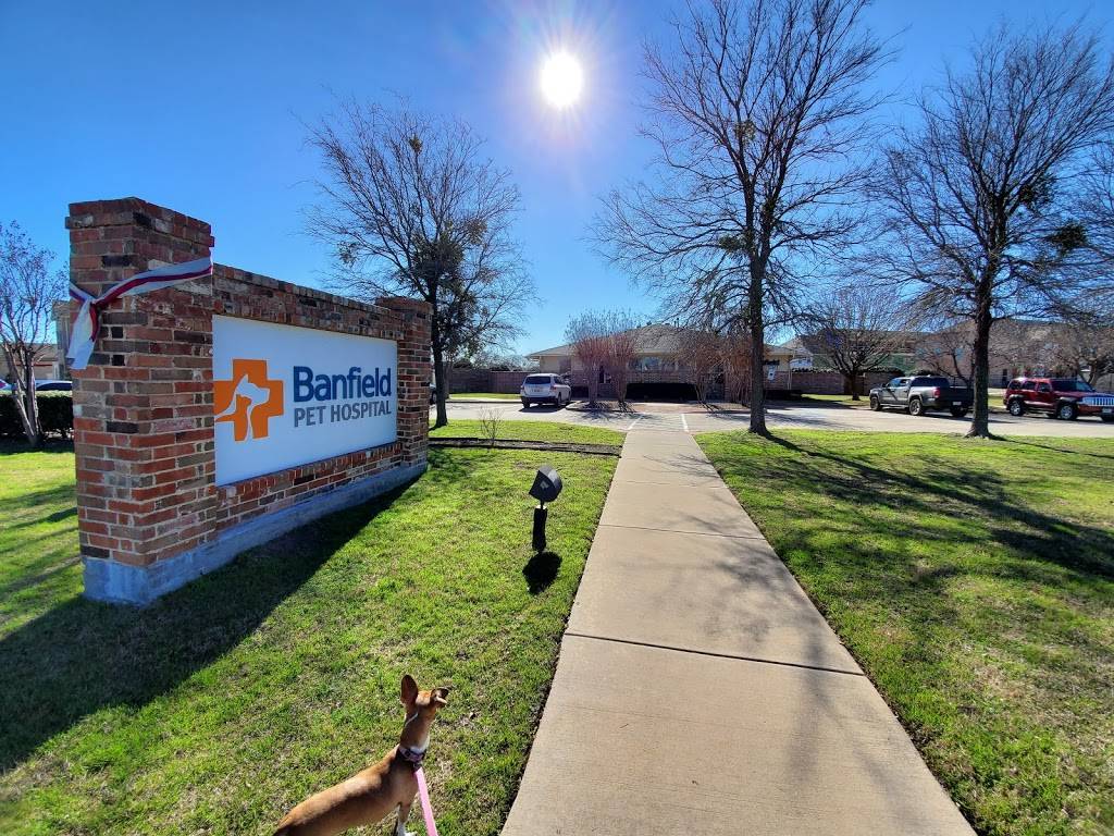 Banfield Pet Hospital | 6299 Ohio Dr, Frisco, TX 75035, USA | Phone: (972) 335-0225