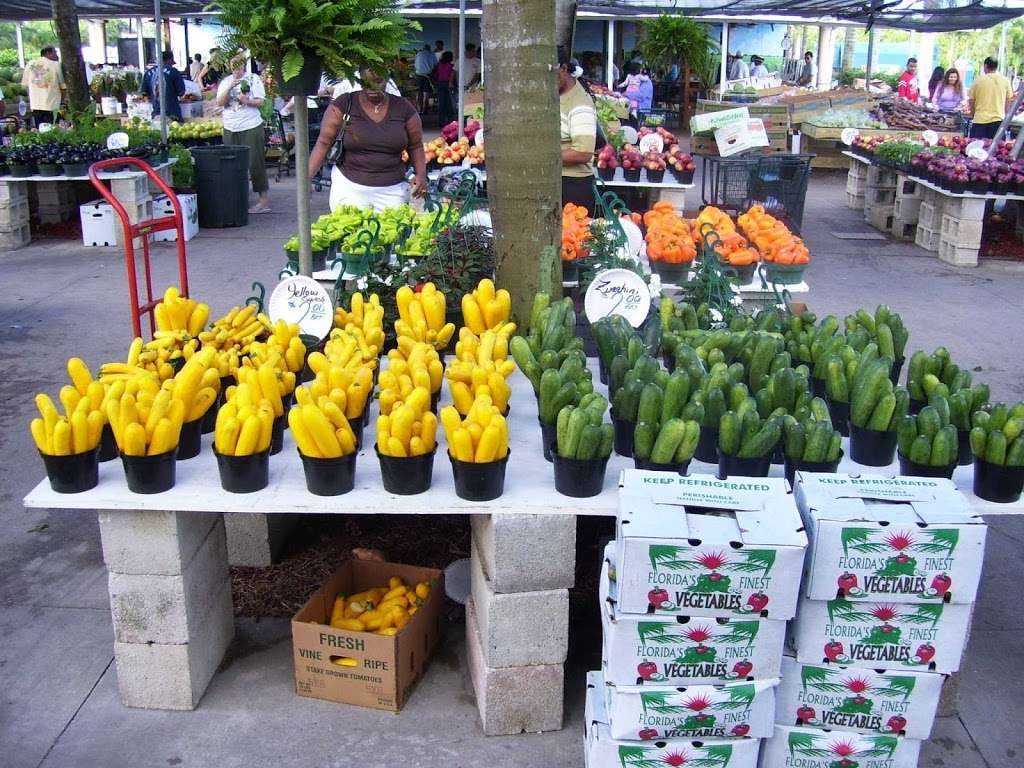 Rorabecks Plants & Produce Inc | 5539 S Military Trail, Lake Worth, FL 33463, USA | Phone: (561) 642-3382