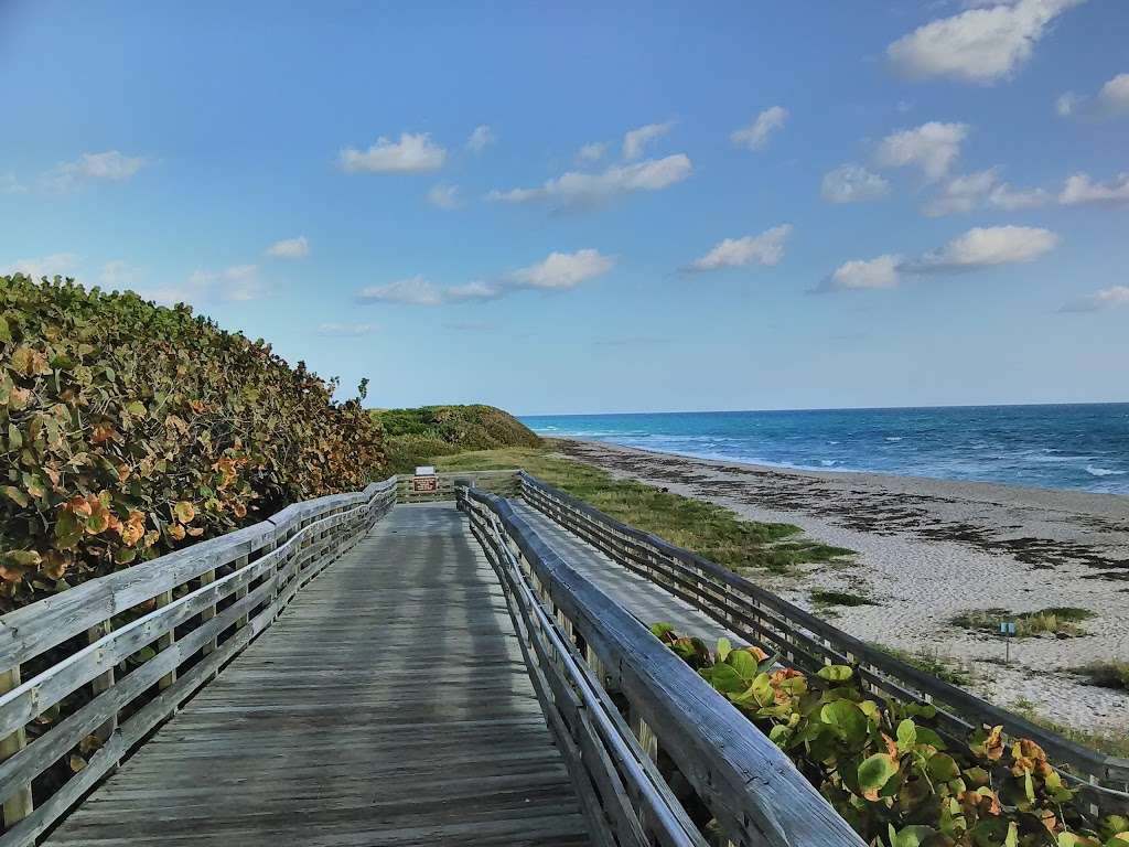 John D. MacArthur Beach State Park | 10900 Jack Nicklaus Dr, North Palm Beach, FL 33408, USA | Phone: (561) 624-6950