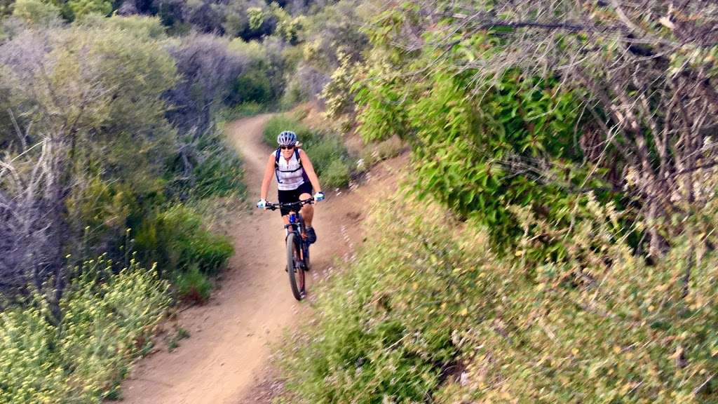 Backbone Trail | Yerba Buena Road, Malibu, CA 90265, USA