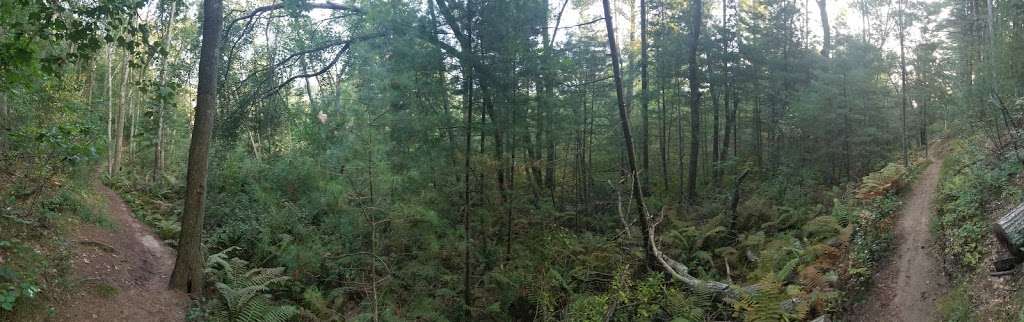 Old Rifle Range | Concord, MA 01742, USA