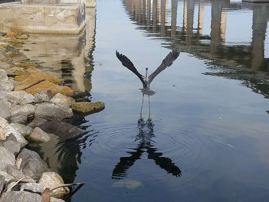 Intercoastal Waterway Park | 588 W Merritt Island Causeway, Merritt Island, FL 32952