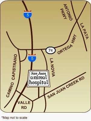 San Juan Animal Hospital | 32391 San Juan Creek Rd, San Juan Capistrano, CA 92675, USA | Phone: (949) 493-1147