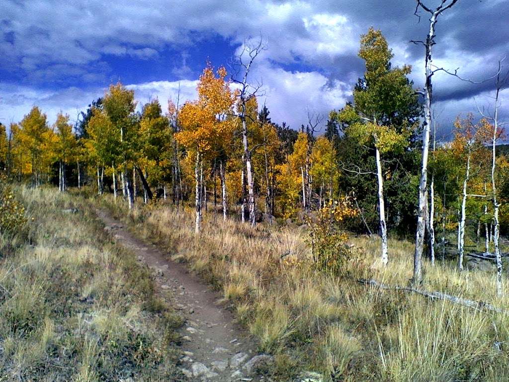 Colorado Trail Section #5 Trailhead | Colorado Trail, Jefferson, CO 80456, USA