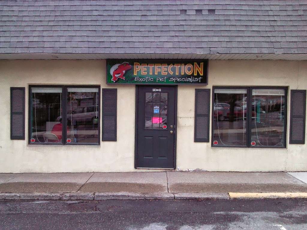 Petfection Exotic Pet Specialist | 2989 PA-611 Suite 102, Tannersville, PA 18372, USA | Phone: (570) 629-1737