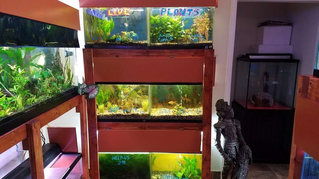 One Fish Two Fish | 2048 US-209, Brodheadsville, PA 18322, USA | Phone: (570) 992-1230