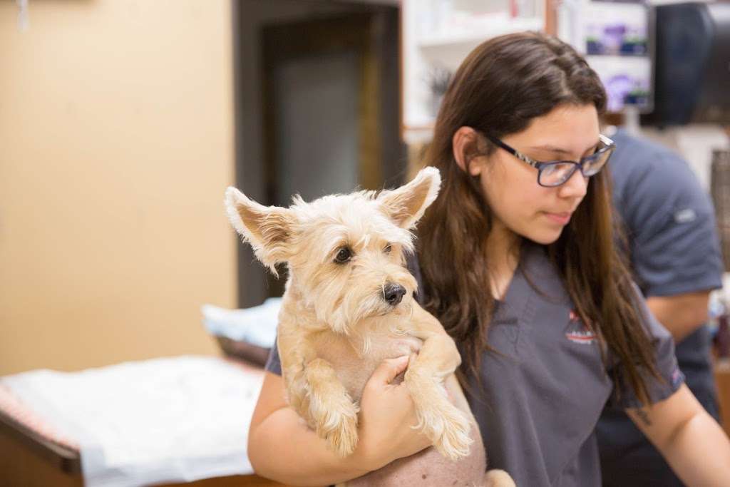 Animal Emergency Clinic NE | 10205 Birchridge Dr, Humble, TX 77338 | Phone: (281) 446-4900