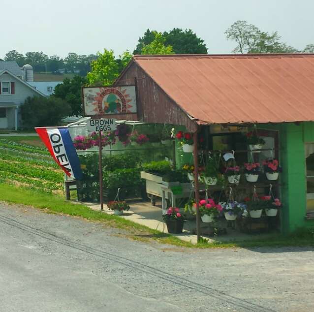 Farm Fresh Produce | East Earl, 5730 Division Hwy, East Earl, PA 17519, USA