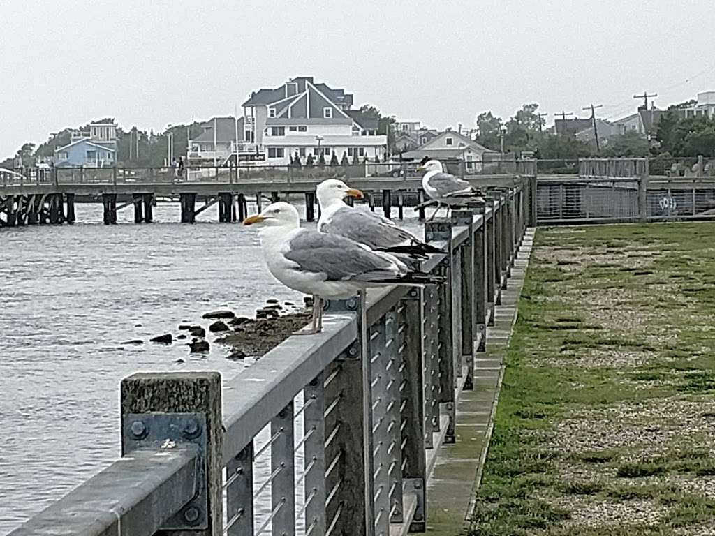 Richard L. Brooks Memorial Park | 3 Oak Beach Rd, Gilgo-Oak Beach-Captree, NY 11720, USA