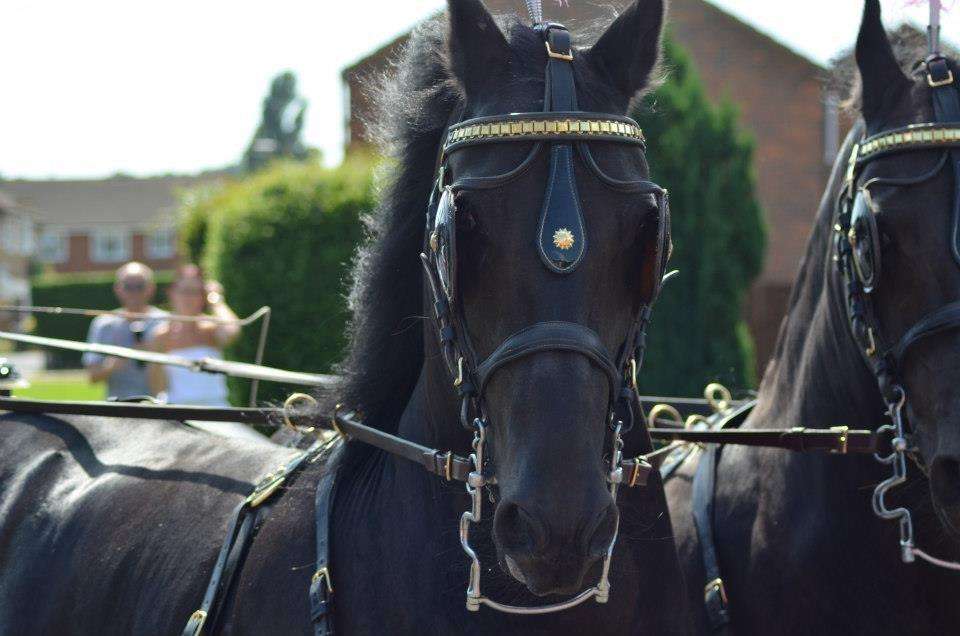 Wayside Carriages | Trumans Oast, Willow Ln, Paddock Wood TN12 6PE, UK | Phone: 07977 204036