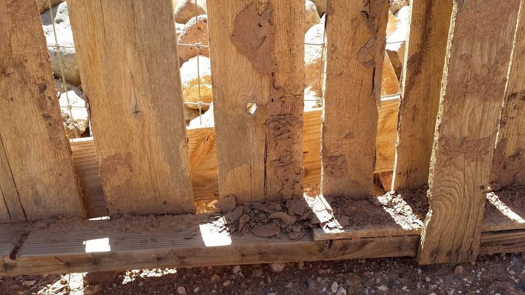 ProBest Pest Management | 751 N Monterey St #116, Gilbert, AZ 85233, USA | Phone: (480) 831-9328