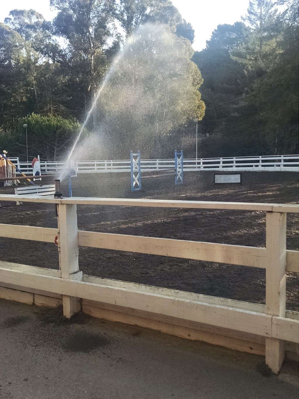 Kenilworth Stables | 5745 Redwood Rd, Oakland, CA 94619, USA | Phone: (510) 531-5745