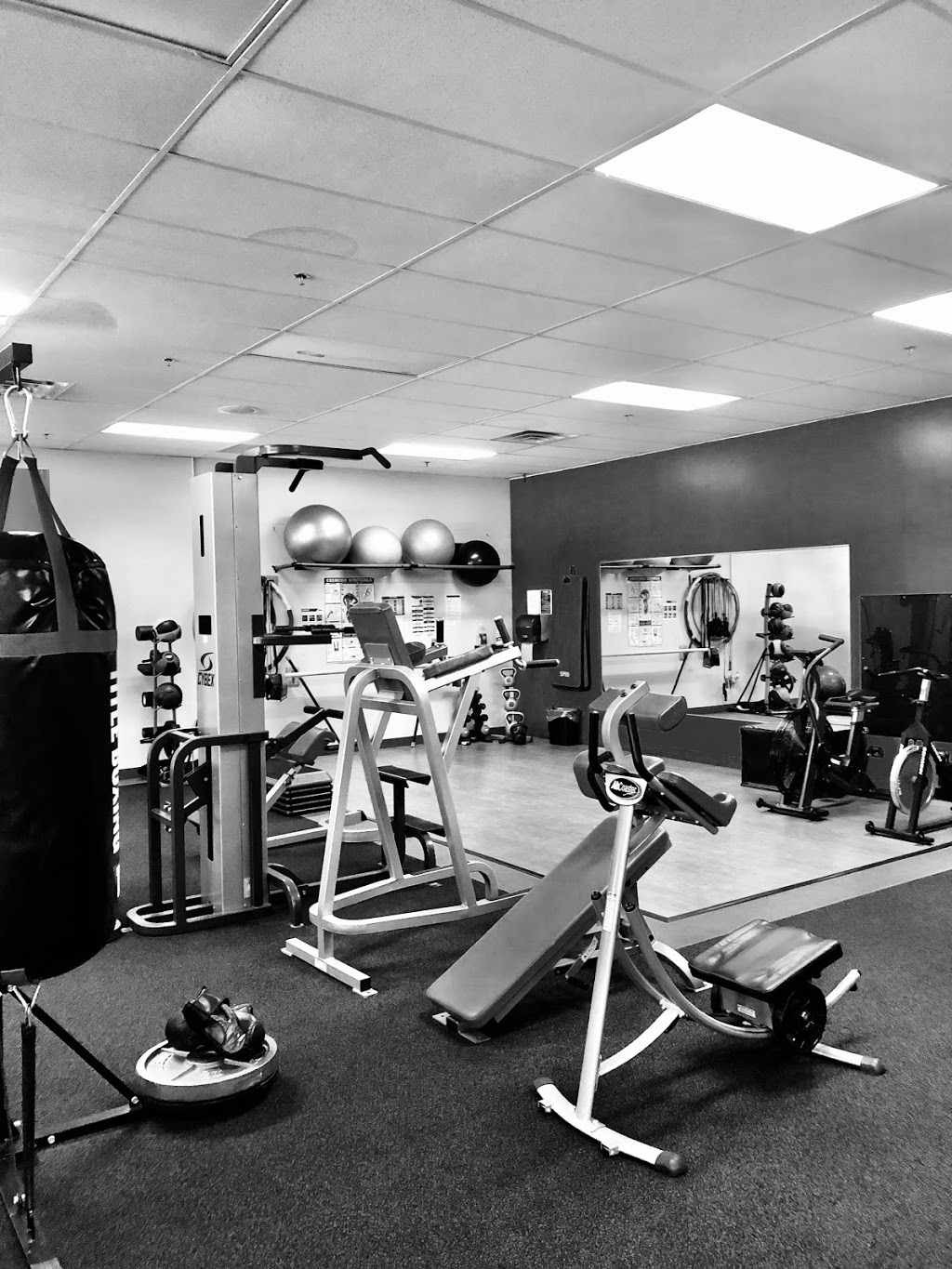 Rise Up. Health & Fitness | 7111 Orchard Centre Dr, Holland, OH 43528, USA | Phone: (567) 408-5811