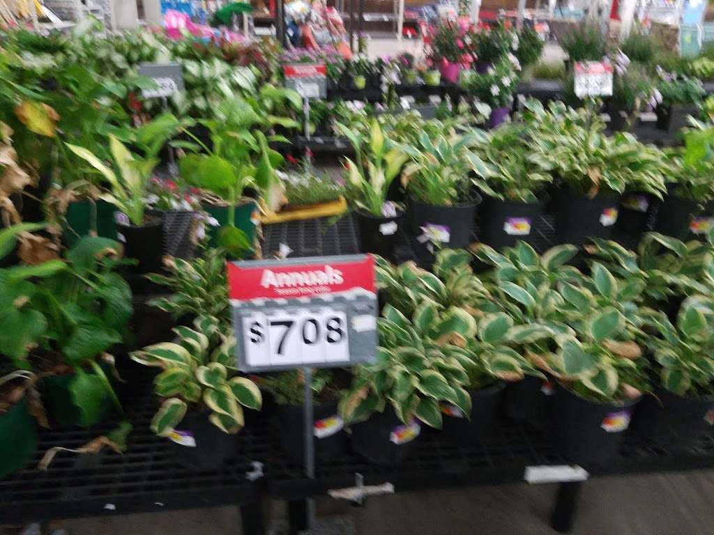 Walmart Garden Center | 13600 S Alden St, Olathe, KS 66062, USA | Phone: (913) 829-4404