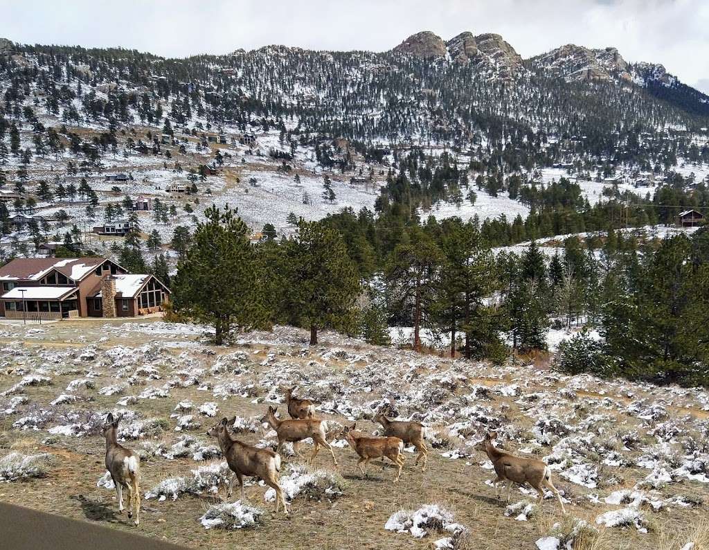 Reveille Cabin YMCA | 508 Snugglers Cove Dr, Estes Park, CO 80517, USA