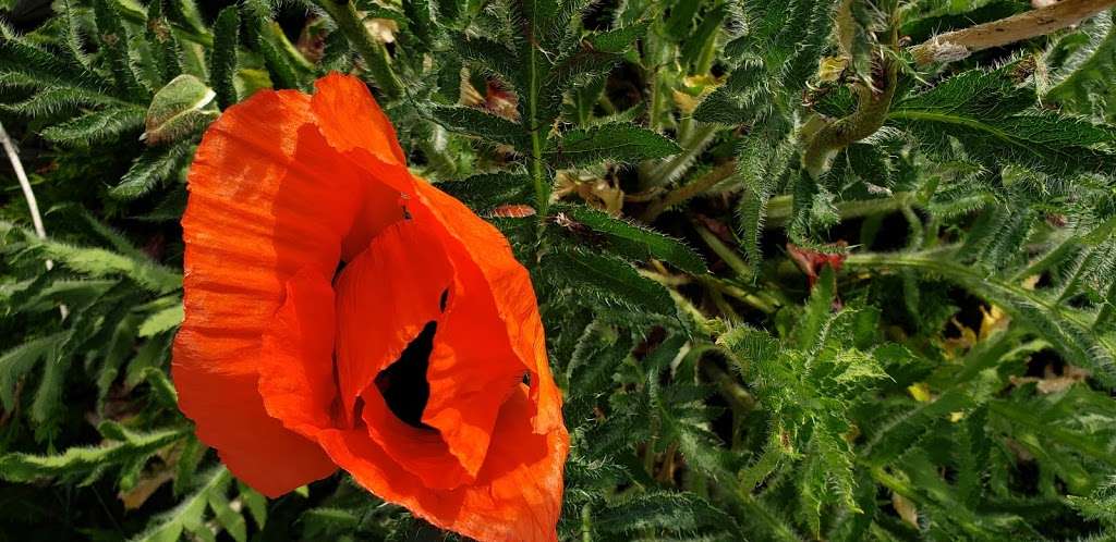 Nederland Park-n-Ride | 300 S Jackson St, Nederland, CO 80466, USA | Phone: (303) 299-2496 Nederland Park-n-Ride | 300 S Jackson St, Nederland, CO 80466, USA | Phone: (303) 299-2496