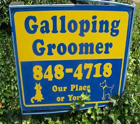 Galloping Groomer | 1301 S Queen St, York, PA 17403, USA | Phone: (717) 848-4718