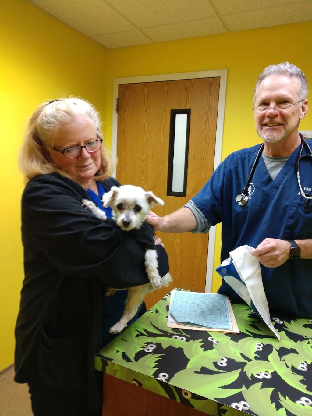 West Shore Animal Hospital | 2558 N Hwy 16, Denver, NC 28037 | Phone: (704) 483-2600