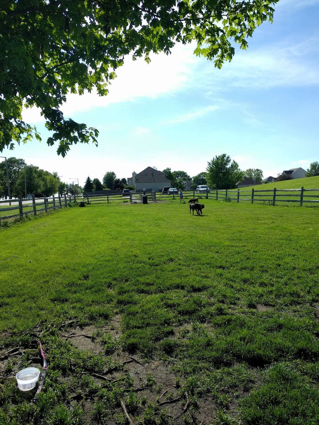 Daisy Dog Park | 13214 Blakely Dr, Plainfield, IL 60585, USA | Phone: (815) 436-8812