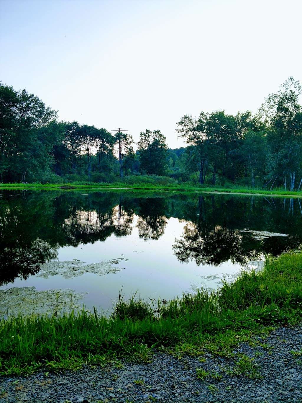 Varden Conservation Area | 1062 Mid Valley Road, Lake Ariel, PA 18436, USA | Phone: (570) 676-3428