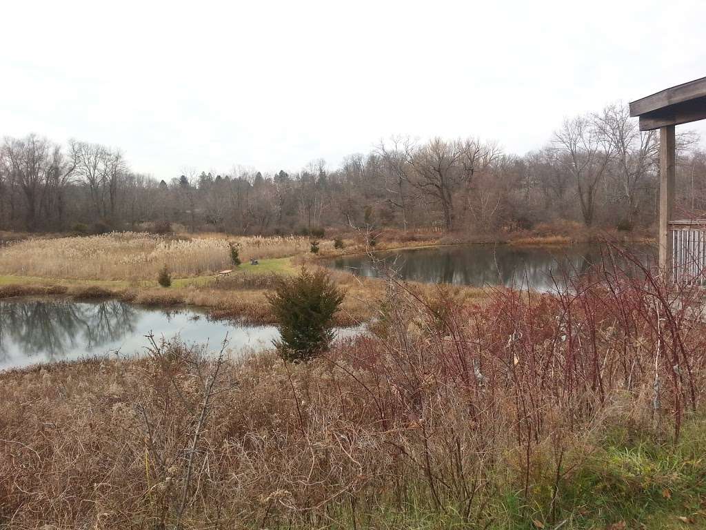 Hudson Highlands Nature Museums Outdoor Discovery Center | 100 Muser Dr, Cornwall, NY 12518 | Phone: (845) 534-5506