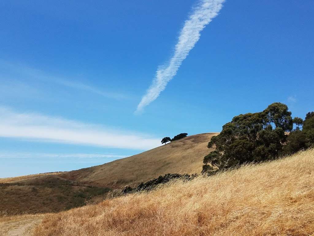 Vargas Plateau Regional Park | 2536 Morrison Canyon Rd, Fremont, CA 94539, USA | Phone: (510) 544-3246