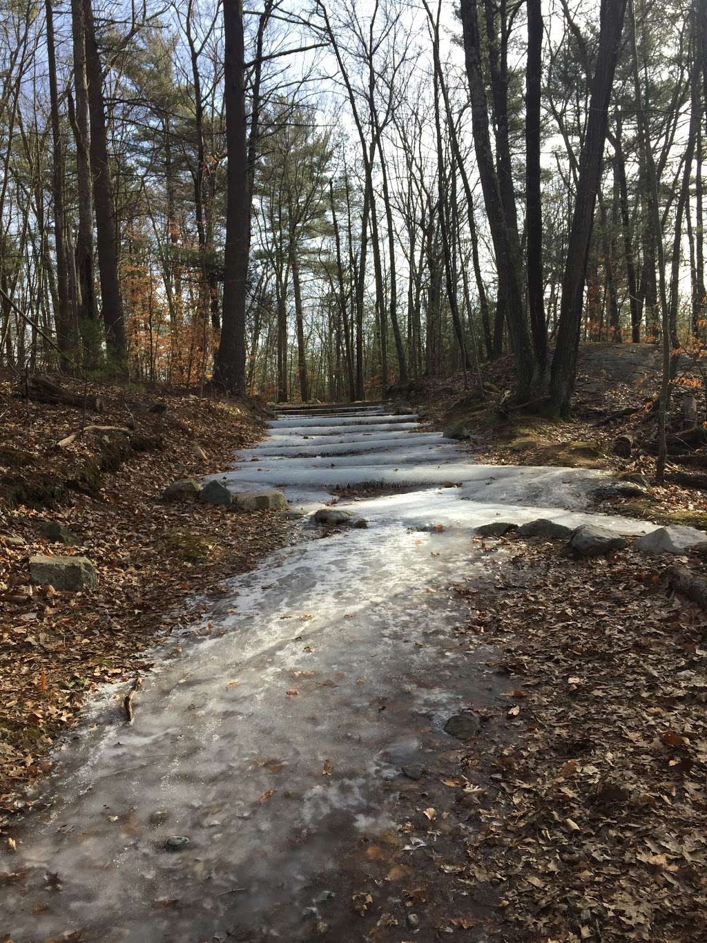 Noon Hill Reservation Trail Head | 170-22 Noonhill Rd, Medfield, MA 02052, USA