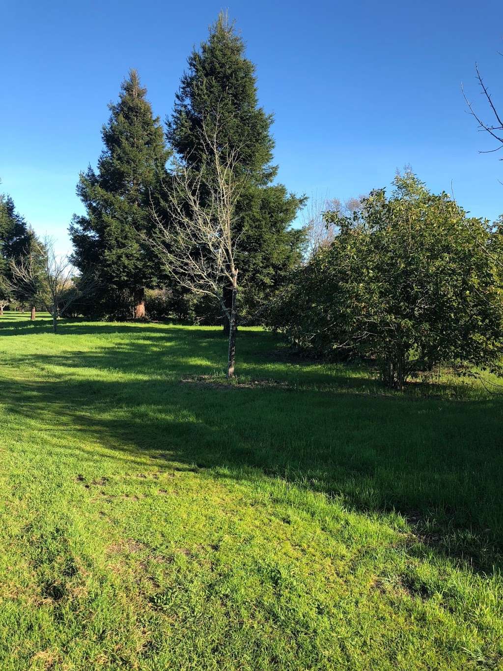 Via Colombard & Carnation | Temelec, CA 95476, USA