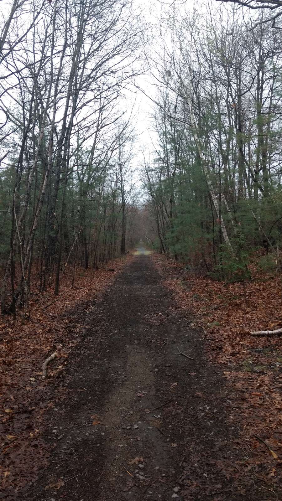 Hanover Branch Rail Trail | Monroe St, Abington, MA 02351, USA