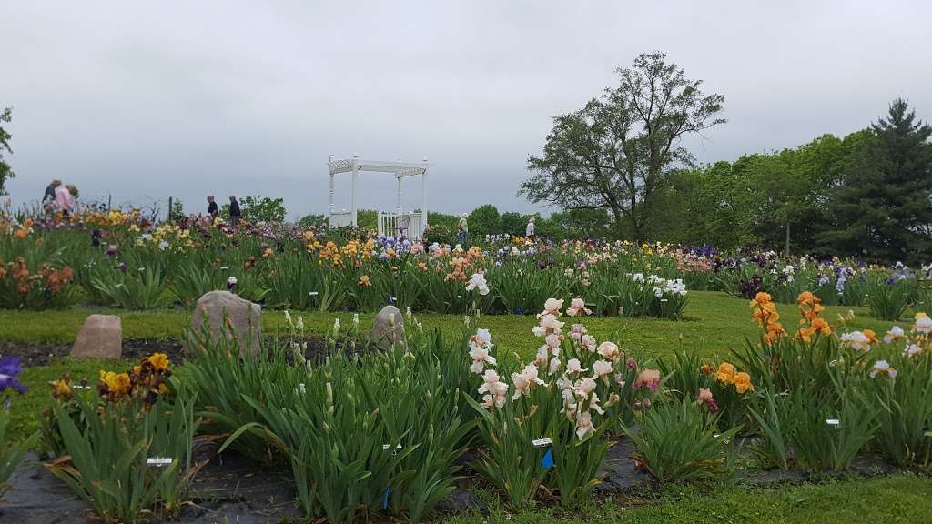 Comanche Acres Iris Gardens | 12421 SE State Route 116, Gower, MO 64454 | Phone: (816) 424-6436