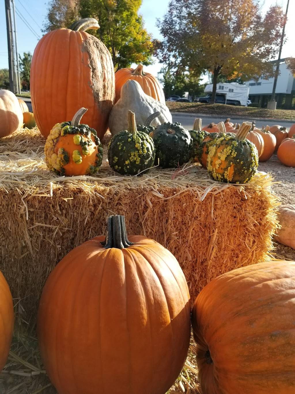 Old Fashioned Fruit and Veg | 2455 Broadway Ave, Boise, ID 83706 | Phone: (208) 703-5806