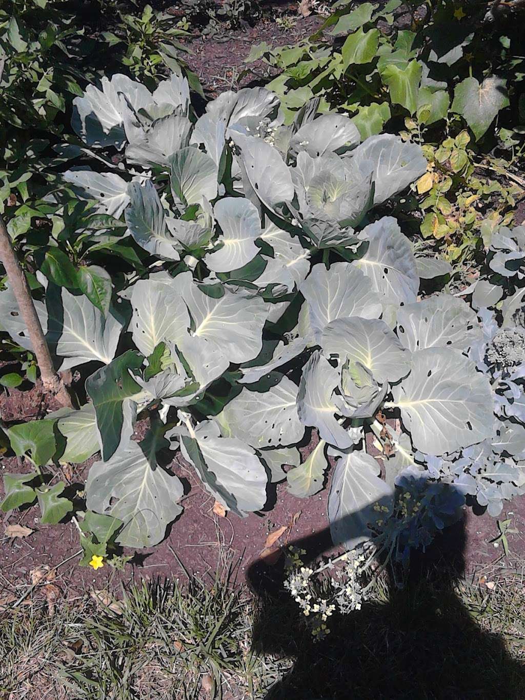 H & H | 8204 Lomond S Dr, Manassas, VA 20110, USA | Phone: (703) 368-3045