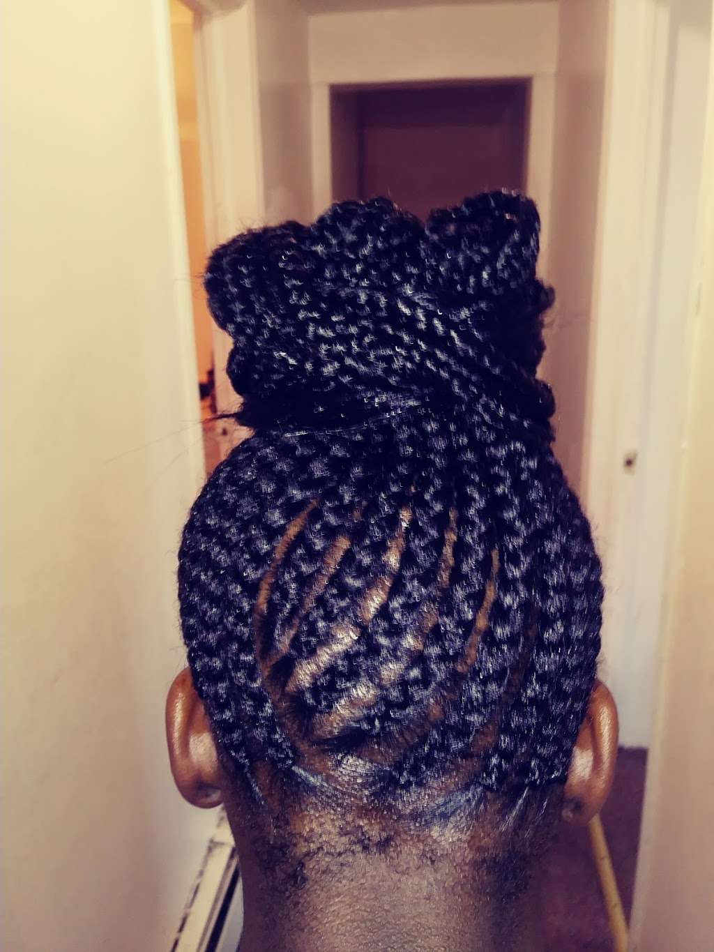 Karens Natural Hair Braiding | 5 Woods Ave, Roosevelt, NY 11575, USA