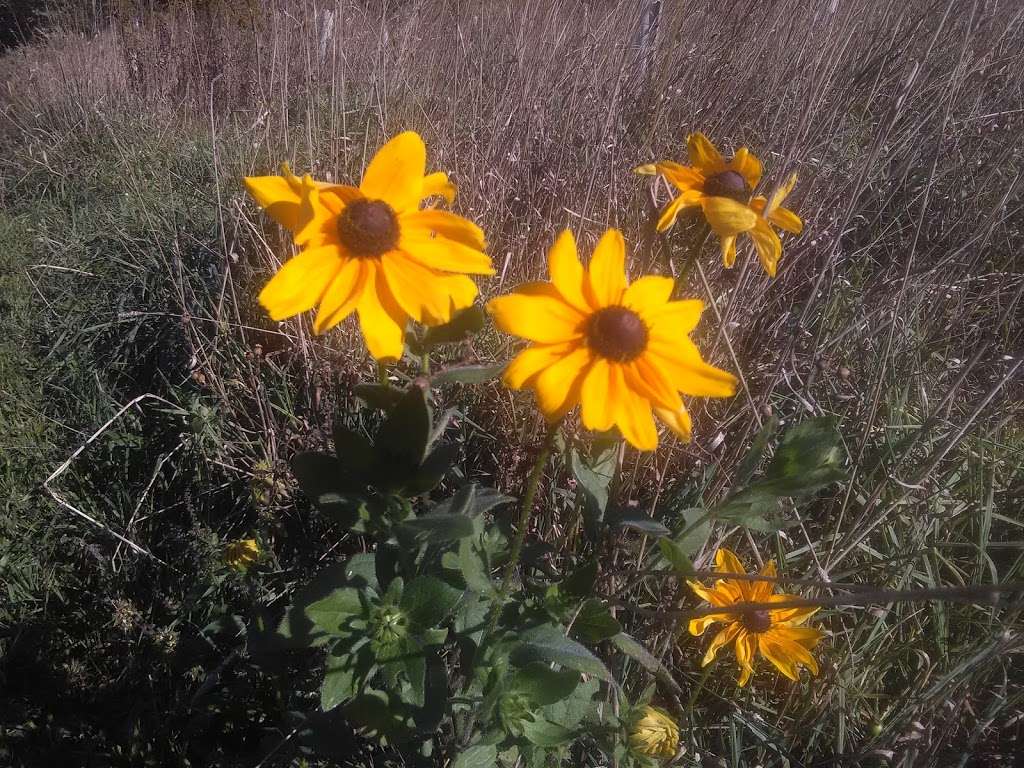 Chestnut Grove Natural Area | 43 Chestnut Grove Rd, Conestoga, PA 17516, USA