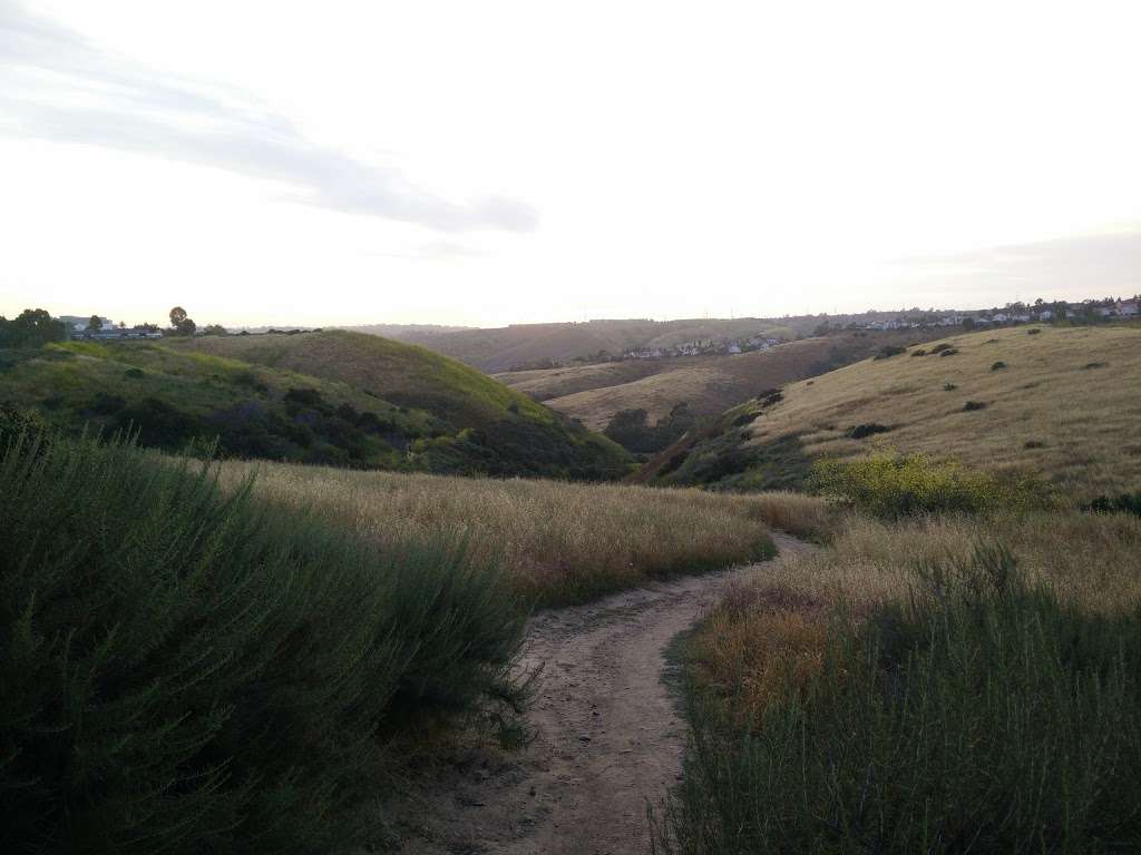 Lopez Canyon Trail | San Diego, CA 92121, USA