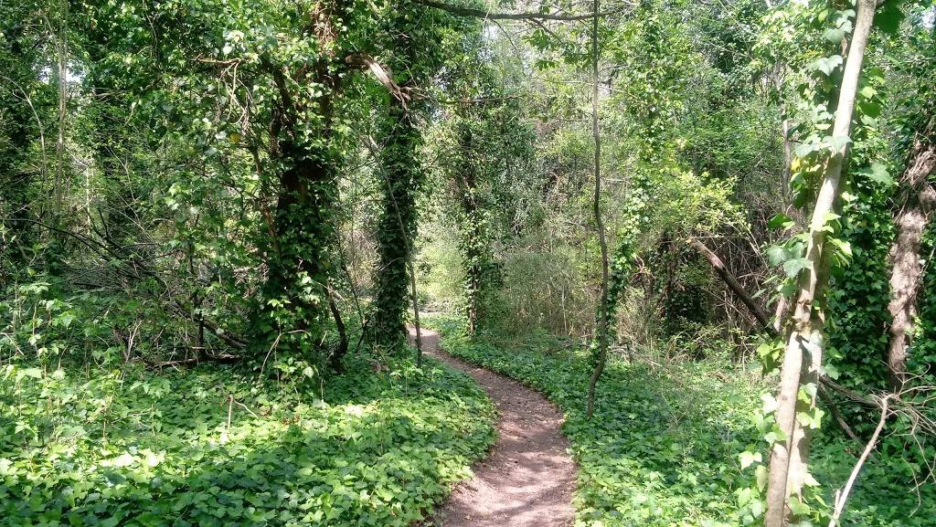 Oak Cliff Nature Preserve | 2875 Pierce St, Dallas, TX 75233, USA | Phone: (972) 696-9810