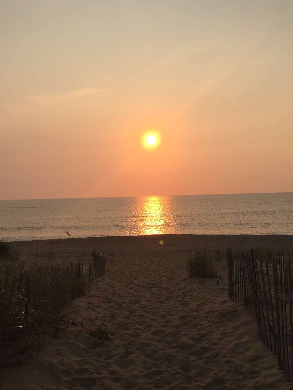 Plum Island Beachcoma | 23 Plum Island Turnpike, Newbury, MA 01951, USA | Phone: (978) 358-8218