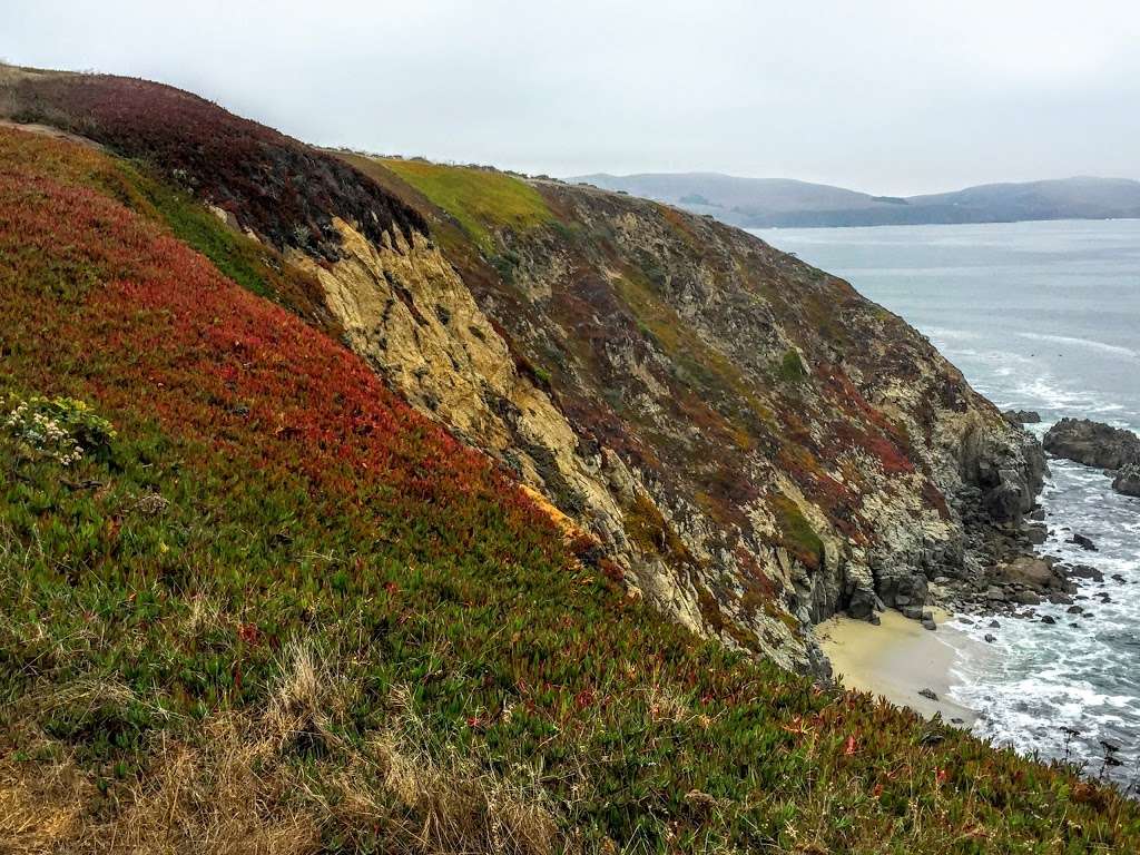 Bodega Bay Trailhead | Bodega Bay, CA 94923, USA